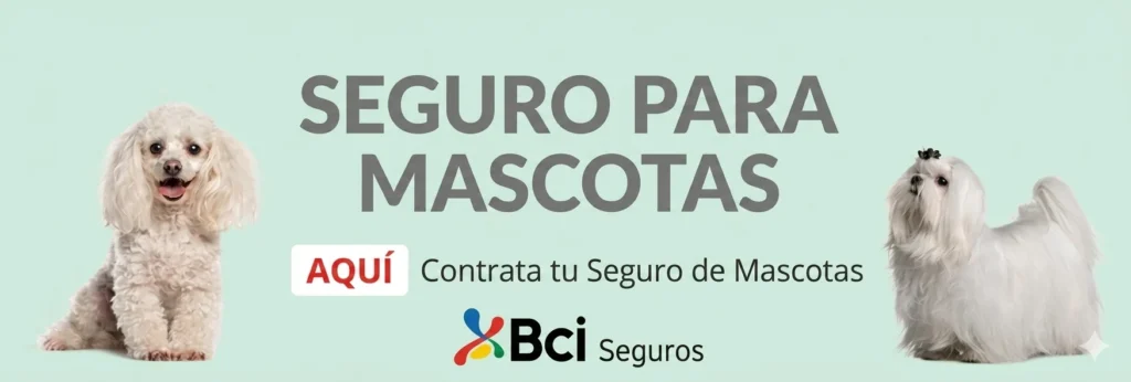 Seguro mascotas Bci